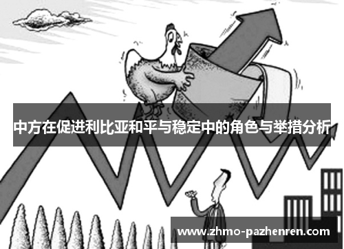 中方在促进利比亚和平与稳定中的角色与举措分析