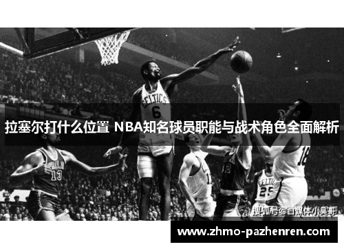 拉塞尔打什么位置 NBA知名球员职能与战术角色全面解析