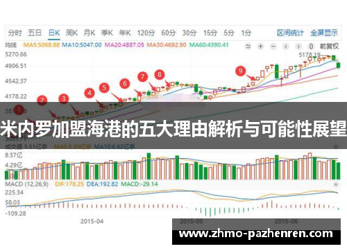 米内罗加盟海港的五大理由解析与可能性展望 米内罗加盟海港的五大理由解析与可能性展望
