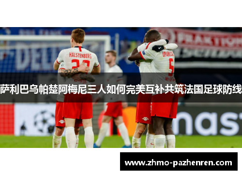 萨利巴乌帕楚阿梅尼三人如何完美互补共筑法国足球防线