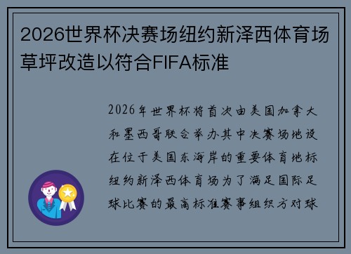 2026世界杯决赛场纽约新泽西体育场草坪改造以符合FIFA标准