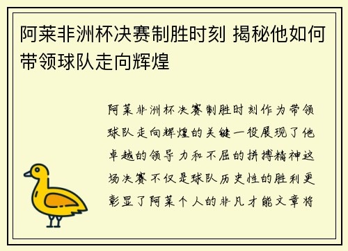 阿莱非洲杯决赛制胜时刻 揭秘他如何带领球队走向辉煌
