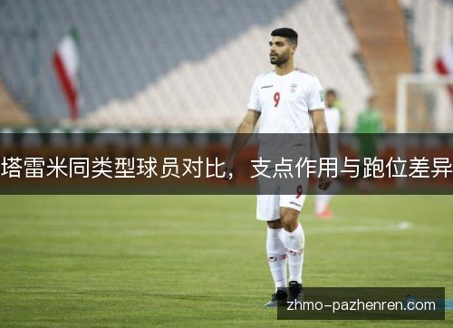 塔雷米同类型球员对比,支点作用与跑位差异 塔雷米同类型球员对比,支点作用与跑位差异